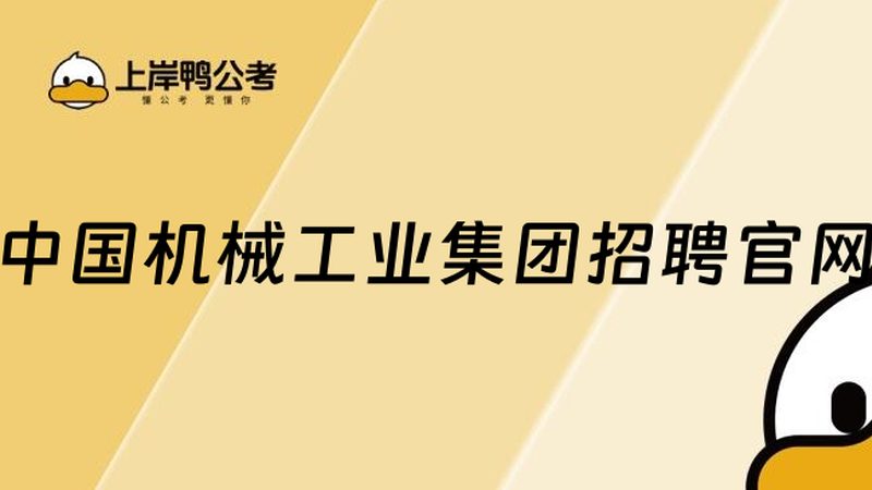 食品机械非标定制：揭秘定制化背后的工艺与标准